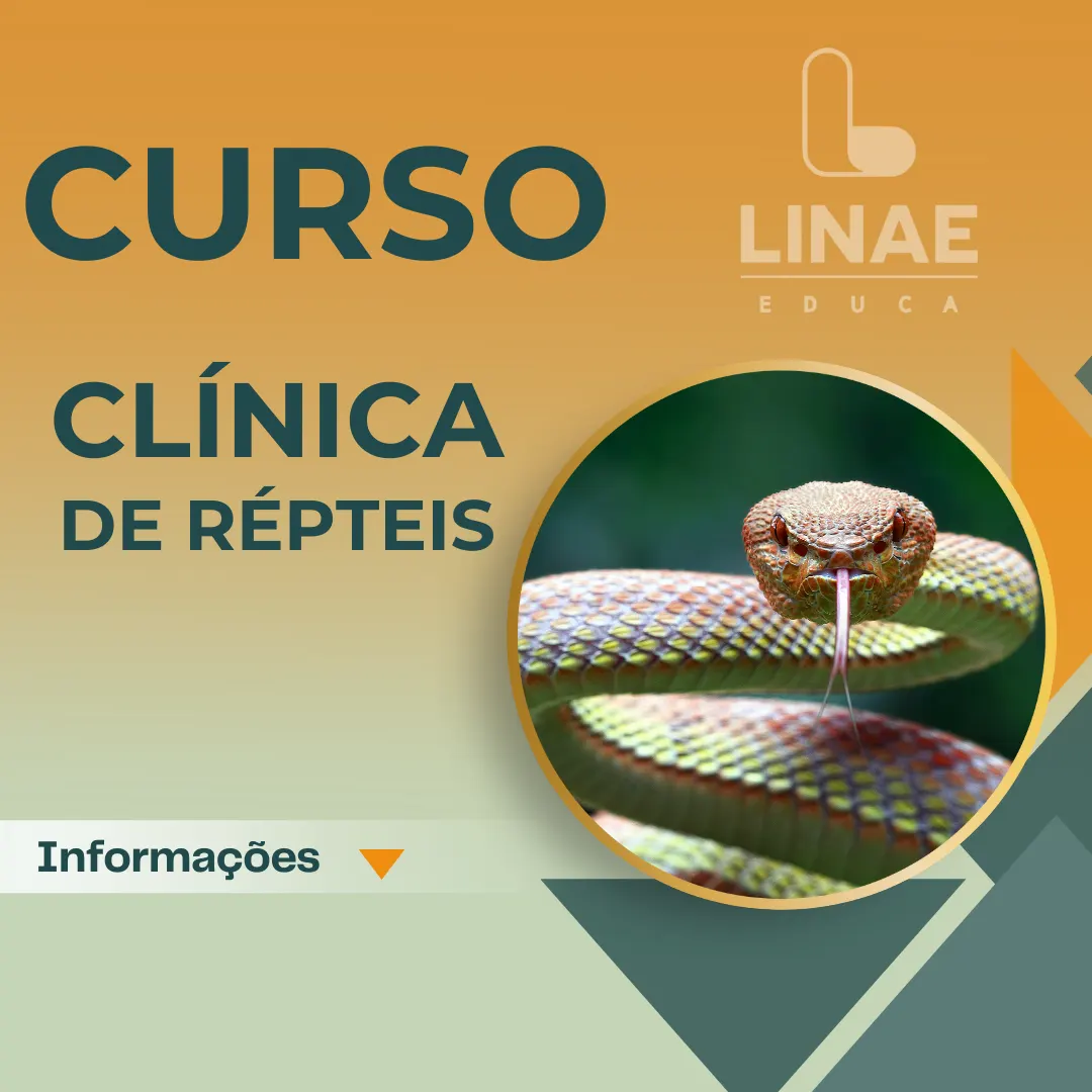 Curso Clínica de Repteis