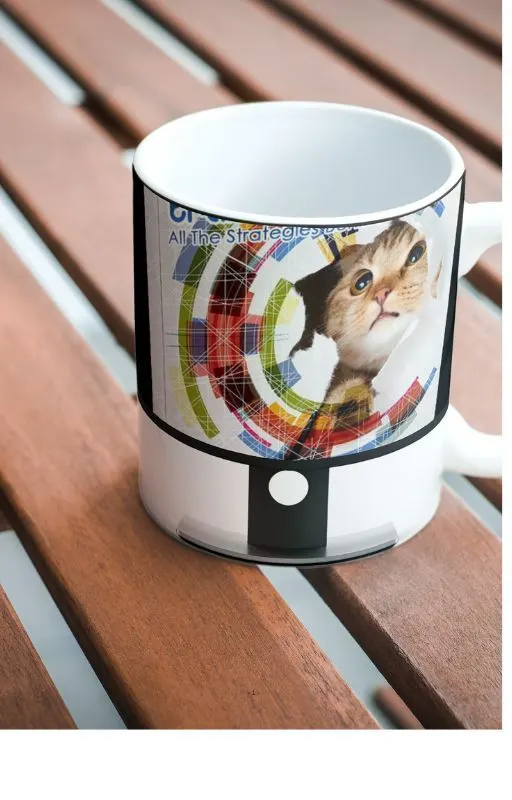 Técnicas de Treinamento para Gatos