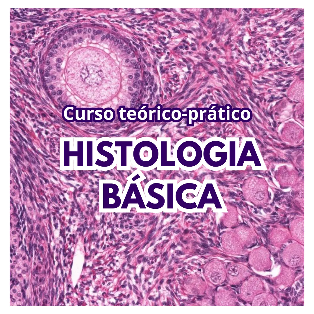 Curso de Histologia Básica