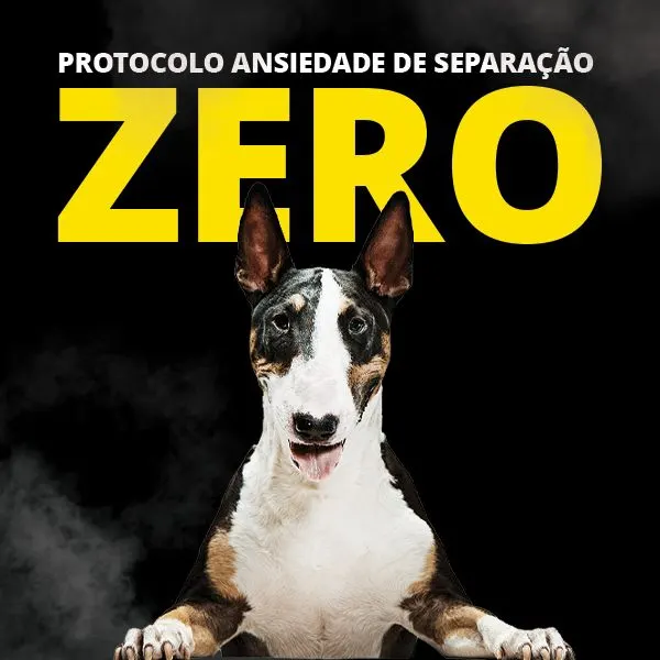 PROTOCOLO ANSIEDADE DE SEPARAÇÃO ZERO