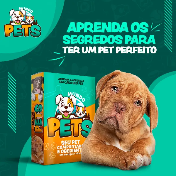 MUNDO PETS: ADESTRAMENTO DE CÃES