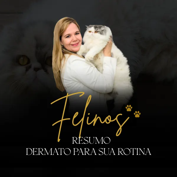 Felinos- resumo dermato para a sua rotina
