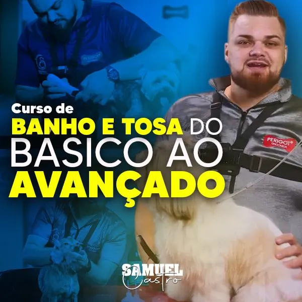 Curso de Banho e Tosa do Básico ao Avançado com Samuel Castro