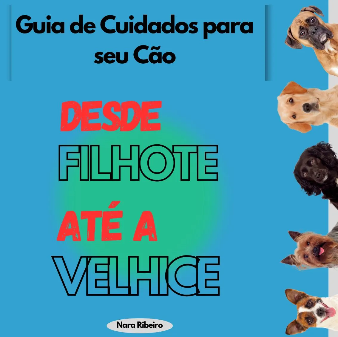Guia de Cuidados para seu Cão desde Filhote até a Velhice - Ideal para Iniciantes
