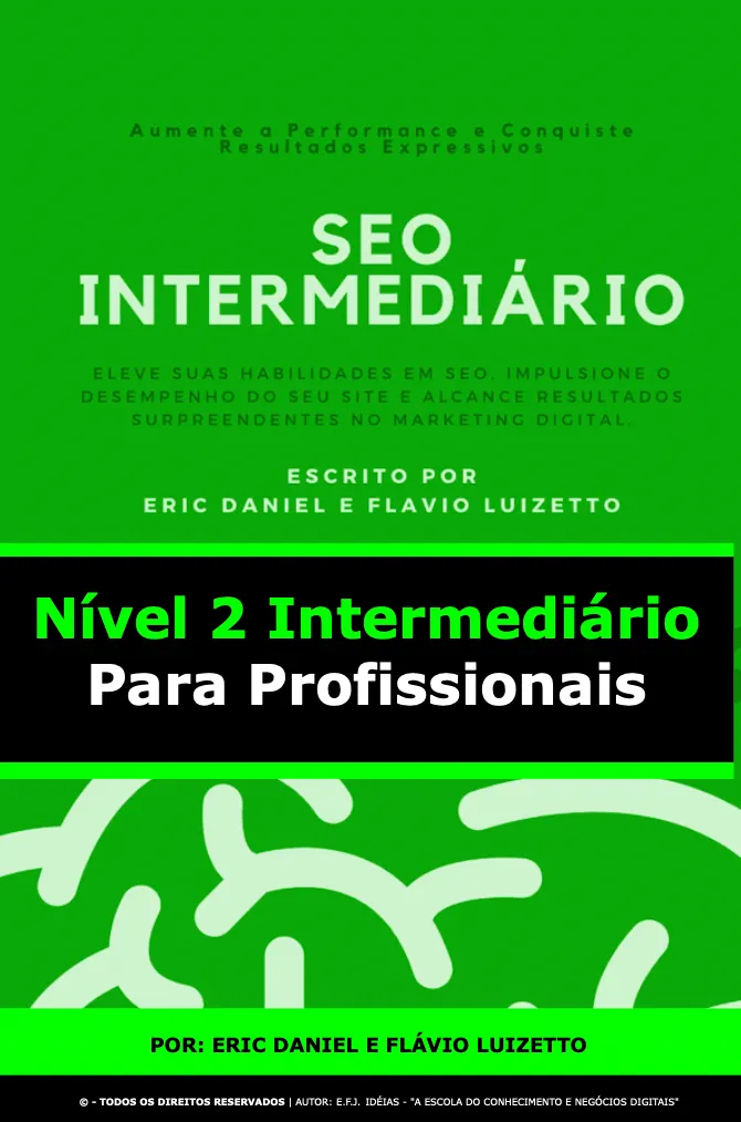 SEO (Brasil) - Livro Curso de SEO [Nível 2] - Intermediário p/ Profissionais do Mercado - Por Eric Danie e Flávio Luizetto - 2023.