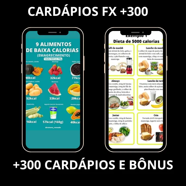 CARDÁPIOS FX +300