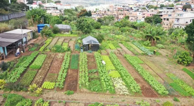 CONCURSO - ENGENHARIA AGRONÔMICA / ENGENHEIRO AGRÔNOMO