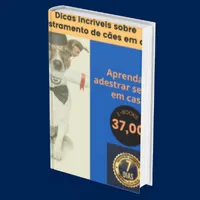Super Dicas sobre adestramento de cães em casa