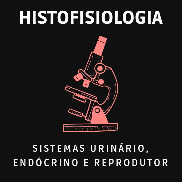 Histofisiologia dos Sistemas Urinário, Endócrino e Reprodutor