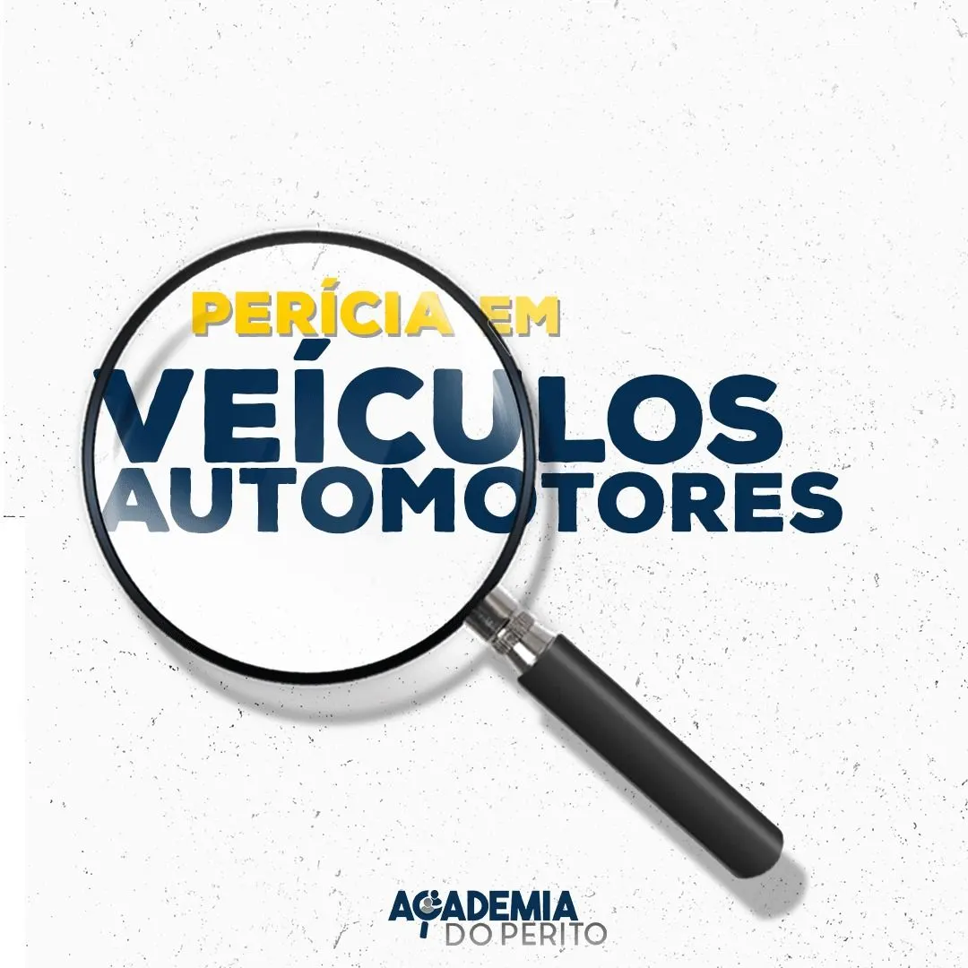 Formação de Perito em Veículos Automotores