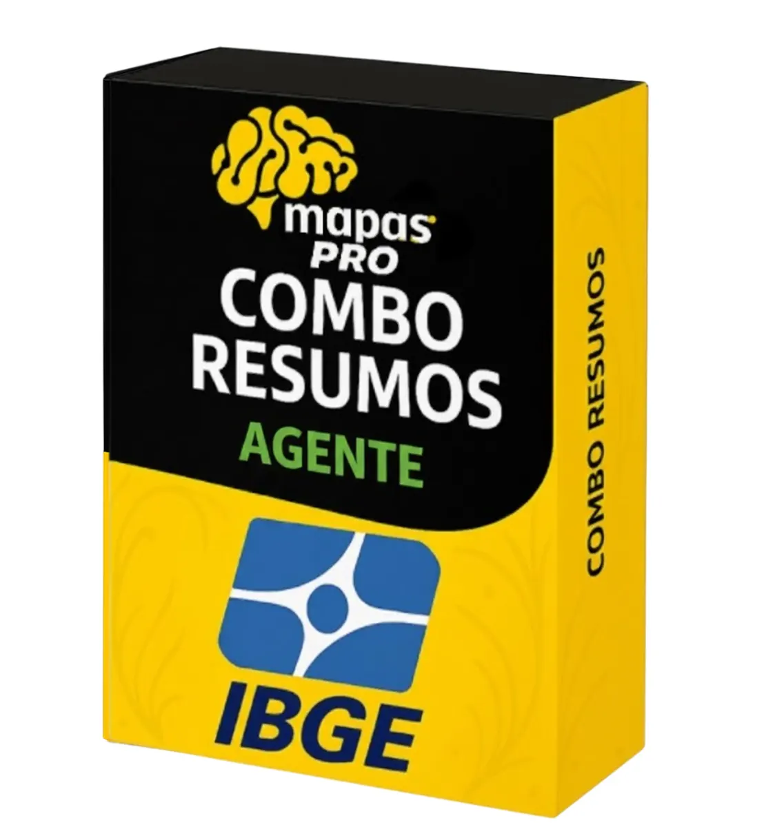 Combo Completo de Resumos Esquematizados – IBGE (FGV) - Agente de Pesquisas e Mapeamento (APM)